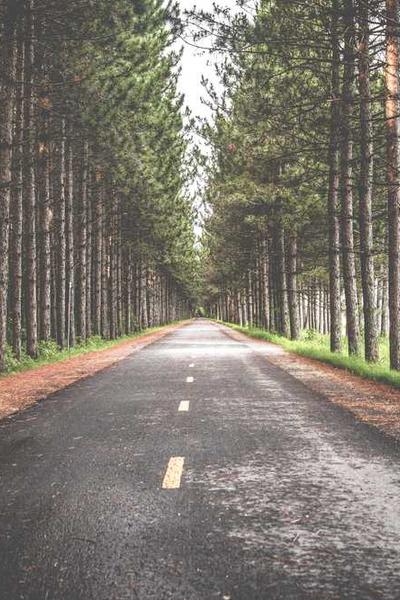 起草視在數(shù)字時(shí)代的轉(zhuǎn)型