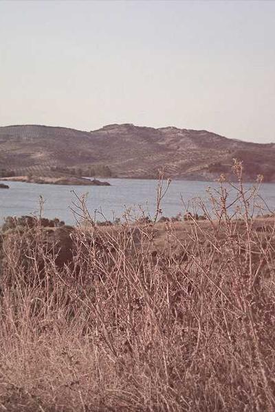 起草視與現(xiàn)代學(xué)術(shù)研究